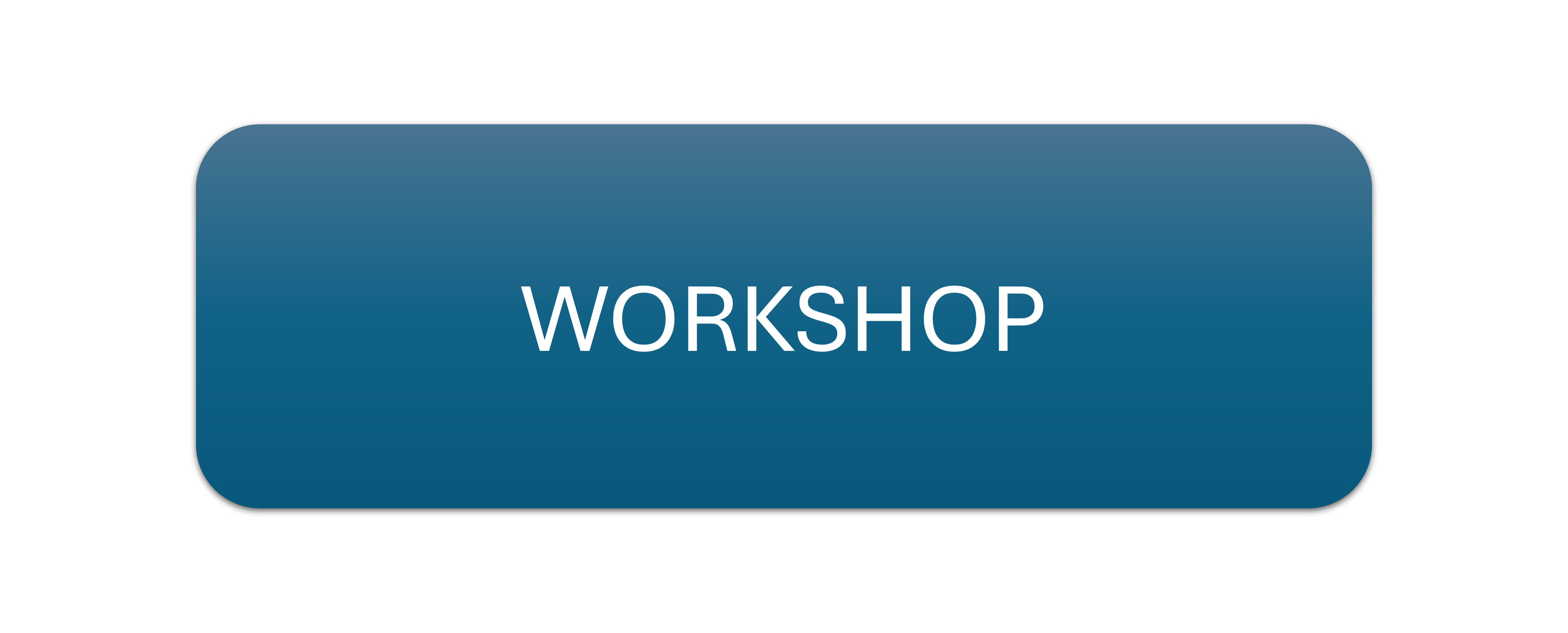 Workshop on ‘TOWING TANK-SHIP MODEL TESTING FACILITY AND ITS PROJ IN BANGLADESH’