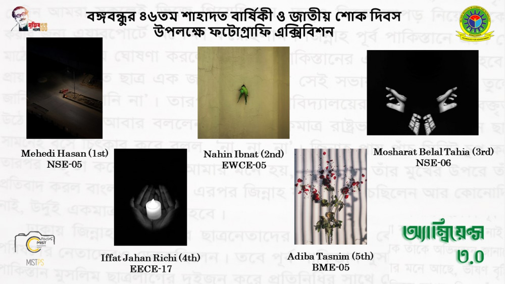 Results of  Online Photo Exhibition " Ambience 3" on the Occasion of the 46th Death Anniversary of Bangabandhu and National Mourning Day